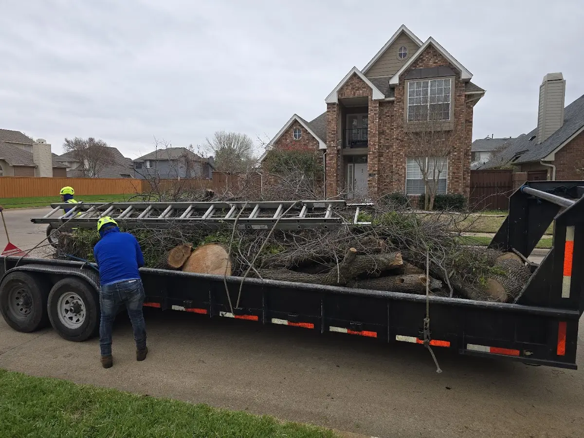 Expert Crown Reduction with proper safety equipment in Palo Cedro